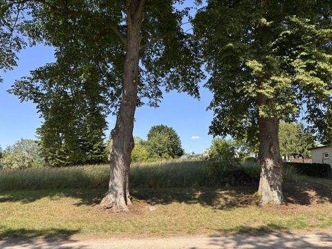 Badow Grundstücke, Badow Grundstück kaufen