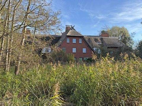 Ahrenshoop Wohnungen, Ahrenshoop Wohnung kaufen