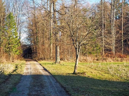 Hof mit Nebengebäuden, Immobilien-Kurz-Salzburg