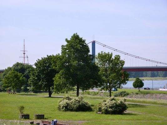 Rheinwiesen gegenüber