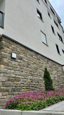 20250603 BUL EF (2).jpg