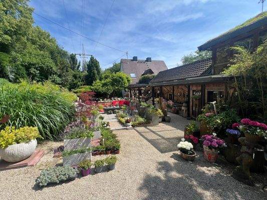 Ansicht Haus und Nebengebäude