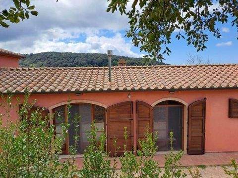 Castagneto Carducci Häuser, Castagneto Carducci Haus kaufen