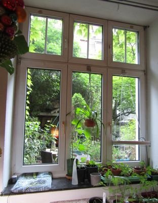 Der Blick aus dem Küchenfenster der 3 Zimmerwohnung