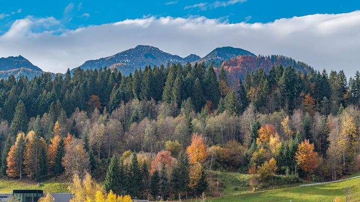 außenfotosneukaufenkitzimmokitzbühelfieberbunn-8