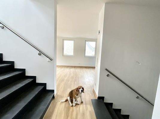 Eingang zu Wohnbereich