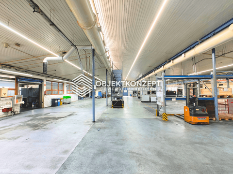 Wehingen Halle, Wehingen Hallenfläche