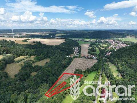 Krayenberggemeinde-Dorndorf Bauernhöfe, Landwirtschaft, Krayenberggemeinde-Dorndorf Forstwirtschaft