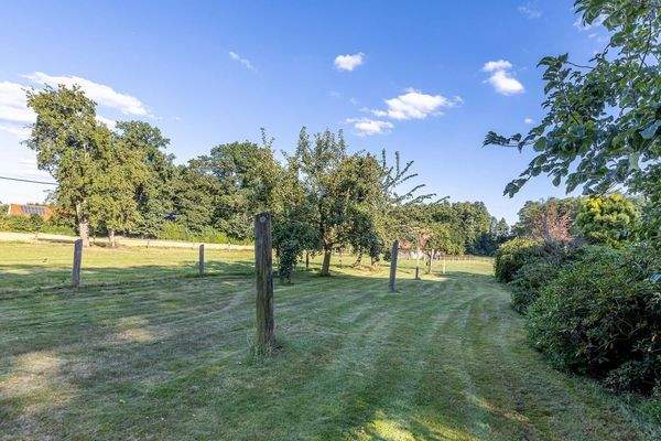 Obstwiese in Nordausrichtung