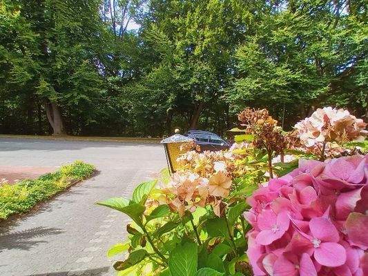 Blick auf den Grünzug