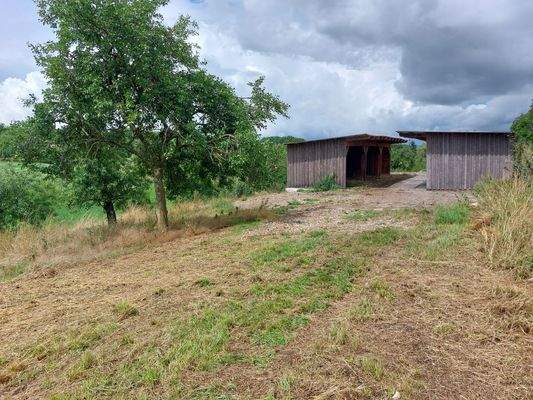 Stall FS 145 S 1.jpg