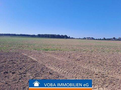 Wegberg Bauernhöfe, Landwirtschaft, Wegberg Forstwirtschaft