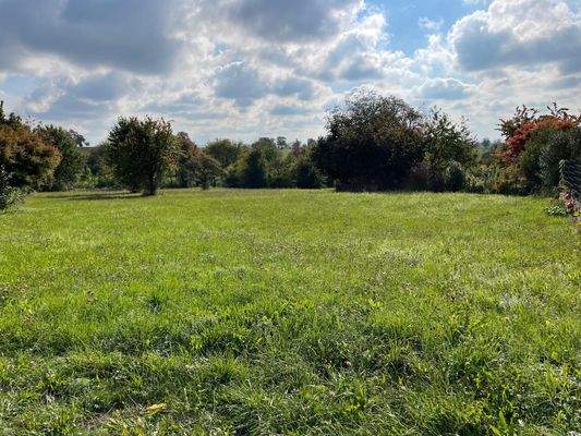 Grundstück am Ortsrand in Richtung Süden