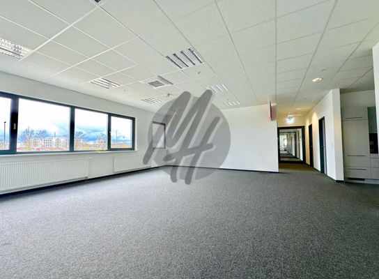 INFOS UNTER: 06171-586000