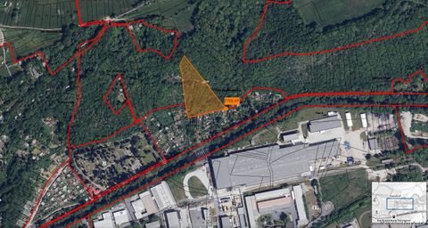 Bad Blankenburg Bauernhöfe, Landwirtschaft, Bad Blankenburg Forstwirtschaft