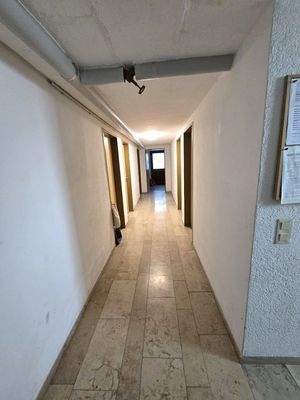 20250611_112530 (Mittel).jpg