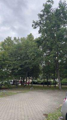 Stellplätze bei der Hallenser Straße 2 im Innenhof