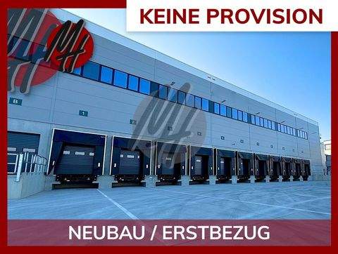 Hanau Halle, Hanau Hallenfläche