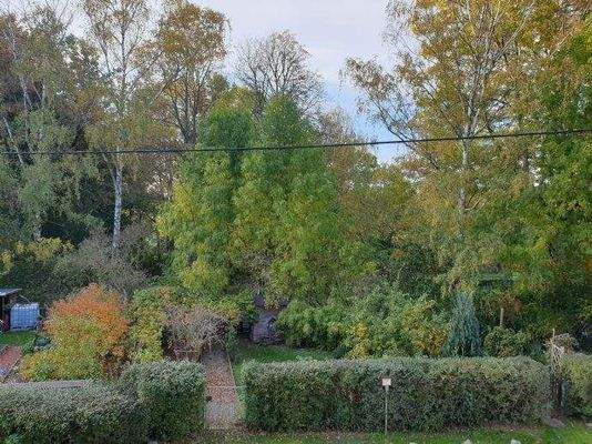 Blick aus dem Schlafzimmer