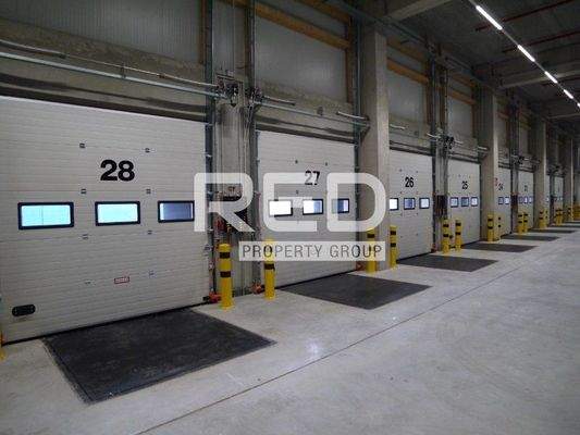 Halle miten Mönchengladbach