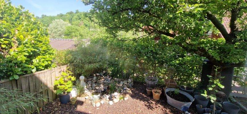 Kleiner Teich Nordseite