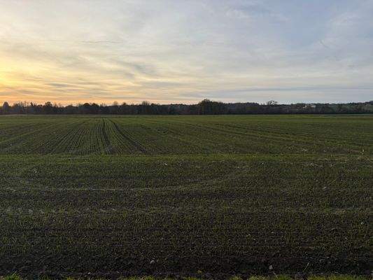 2025-11-12 16.01.22.jpg