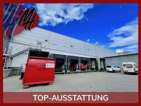 Rosbach vor der Höhe Halle, Rosbach vor der Höhe Hallenfläche