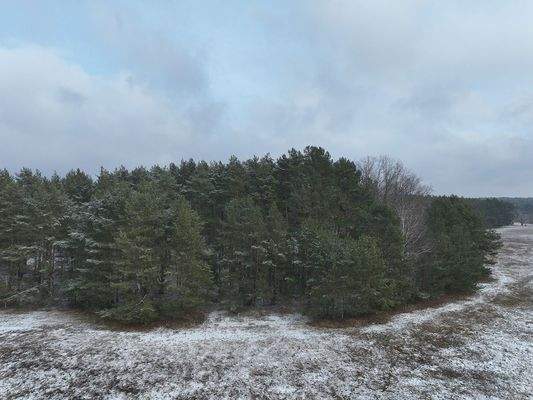 Blick Richtung Osten 