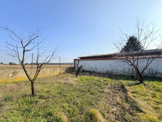 weitläufige Aussicht im Garten