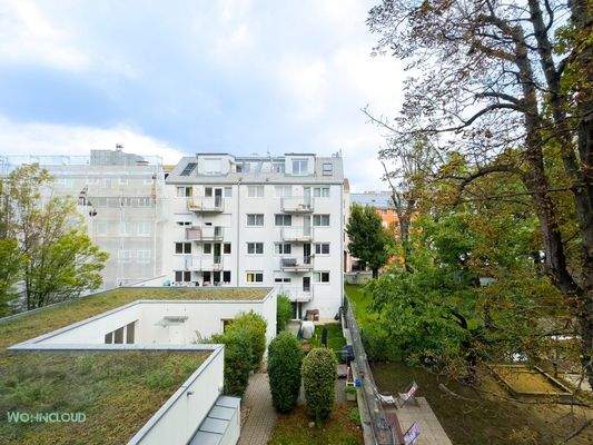 AUSSICHT AUF MÖGLICHE TERRASSEN