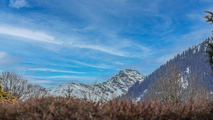 KITZIMMO-Wohnung in Toplage Bichlalm - Immobilien kaufen Kitzbühel.