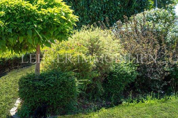 Lehner Immobilien Bild 32