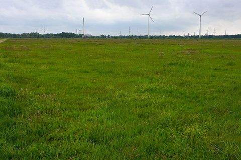 Bremen Bauernhöfe, Landwirtschaft, Bremen Forstwirtschaft