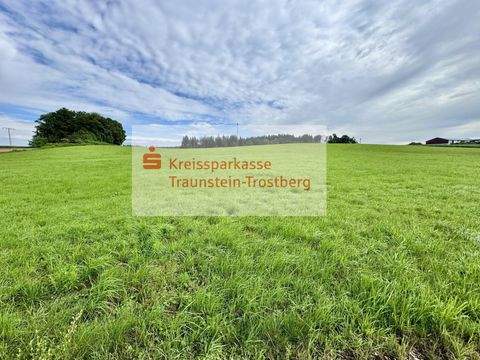 Pittenhart Bauernhöfe, Landwirtschaft, Pittenhart Forstwirtschaft