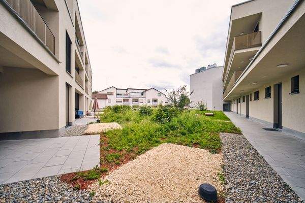 Dachgarten (noch nicht fertig)