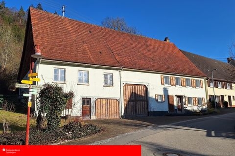 Reichenbach Häuser, Reichenbach Haus kaufen