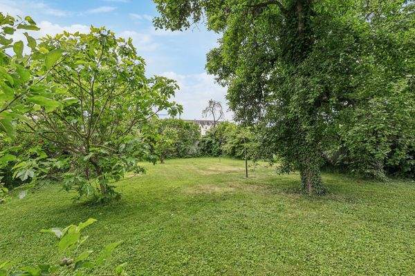 Blick von der Terrasse auf einen Feigenbaum und einen Apfelbaum
