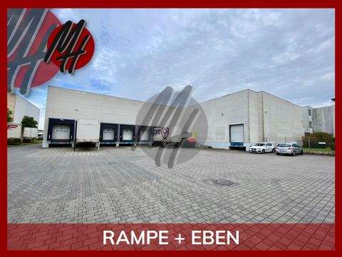 Alzenau Halle, Alzenau Hallenfläche