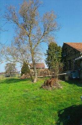 Teilansicht des Gartens