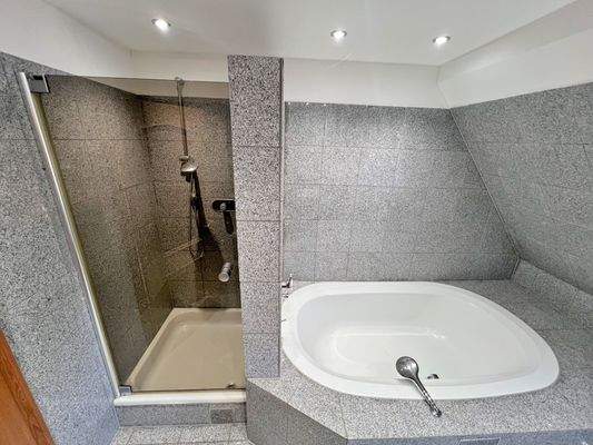 Dusche und große Wanne