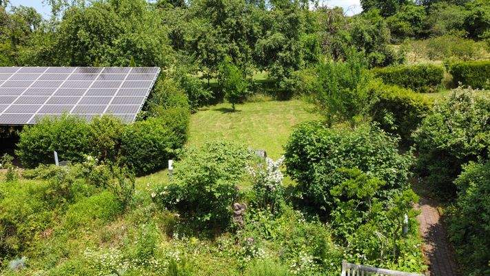 dji_fly_20250617_135712_308_1750161772287_photo_optimized