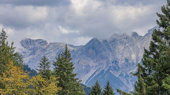 KITZIMMO-Freizeitwohnsitz in Ruhelage mit traumhaftem Ausblick kaufen - Immobilien Fieberbrunn.