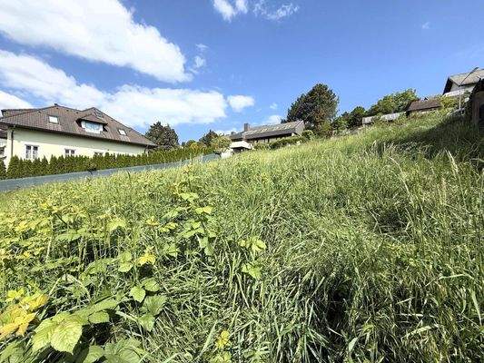 süd-westliche Ansicht des Baugrundstücks