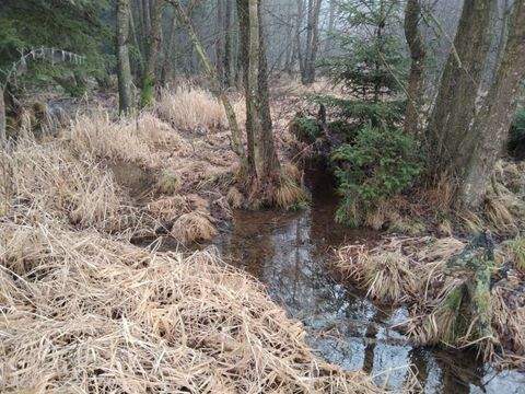 Vitis Bauernhöfe, Landwirtschaft, Vitis Forstwirtschaft