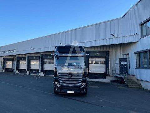 Würselen Halle, Würselen Hallenfläche