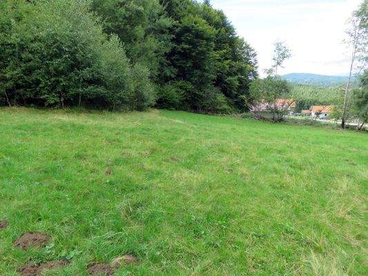 Grundstück am Waldrand   