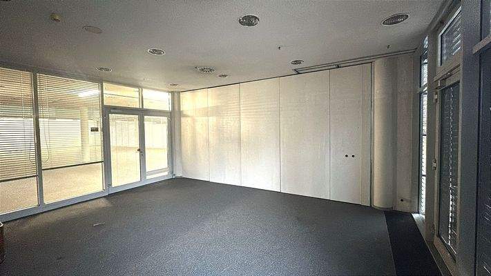 WhatsApp Image 2024-12-19 at 11.50.28.jpeg