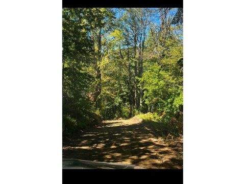 Curarrehue Büros, Büroräume, Büroflächen 