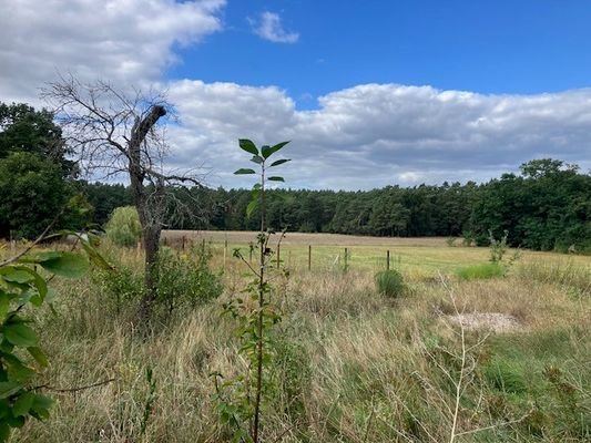 Gartenblick