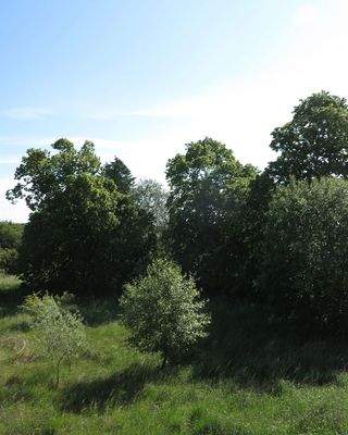 Dorfteich / Grdst. li. Seite